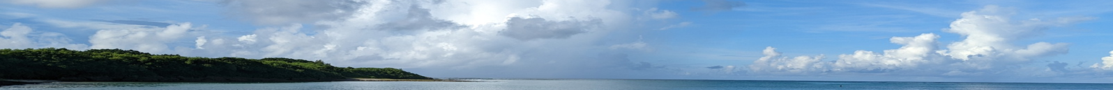 The Lighthouse Company LLC